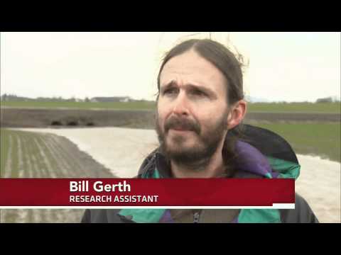 Oregon Farmers Surprised to Find Fish in Fields