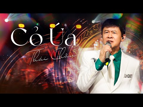 Buồn tận đáy lòng trước bản live CỎ ÚA đầy tâm trạng của Thái Châu | Live in Giao Lộ Thời Gian