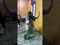 Shot Kashmiri Shadi