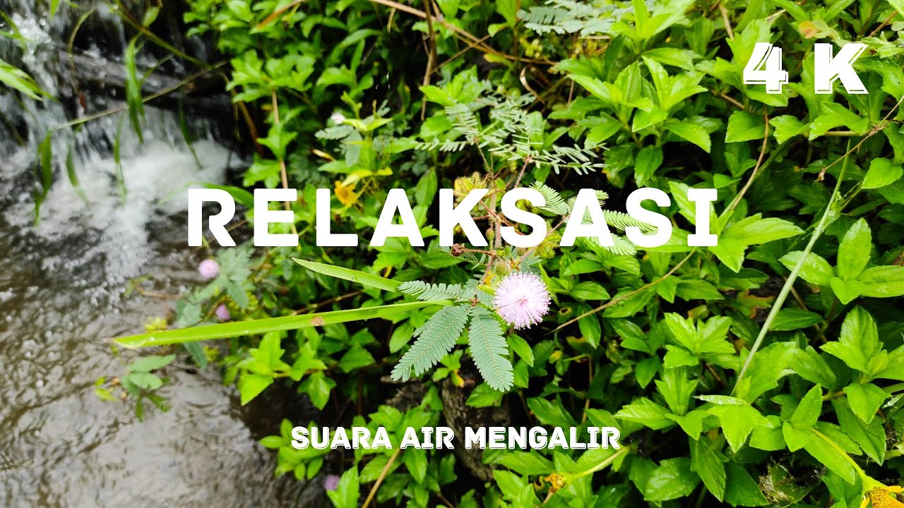 Relaksasi suara air mengalir - 4K