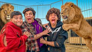 LAST TO LEAVE LION CAGE WINS $1,000,000