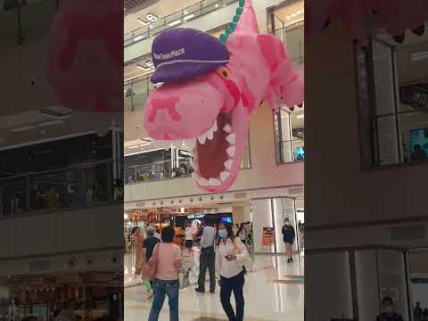 New Town Plaza Shatin Hongkong #linda #asmr #domingo #shatin #hongkong