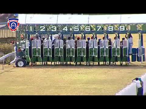 RM27 R5 - Jals Tiger