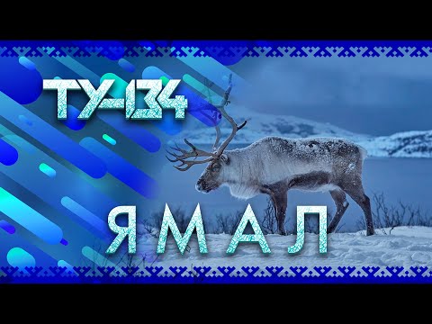 Группа ТУ-134 – ЯМАЛ (2020)