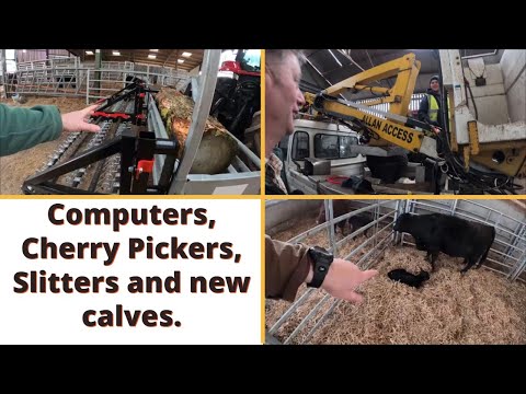 28.02.23 Computer, Hubarbeitsbühnen, Schneidemaschinen und neugeborene Kälber