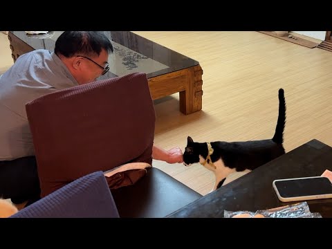 한평생 강아지만 좋다던 할아버지..결국은ㅋㅋ