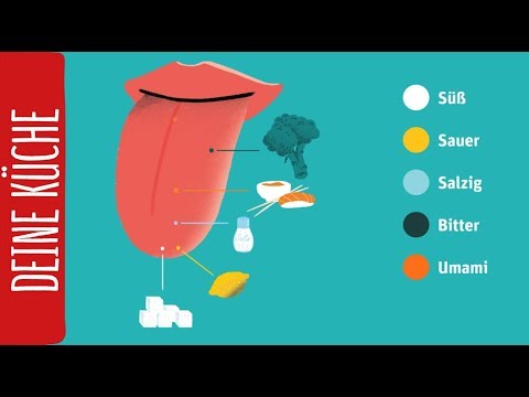 Wie funktioniert der Geschmackssinn? | REWE Deine Küche