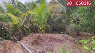 property in konkan..#property #investment #realestate #dreamhome