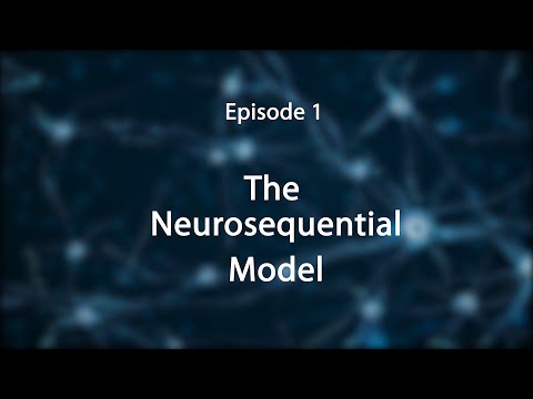 Stress, Trauma, and the Brain: Insights for Educators--The Neurosequential Model
