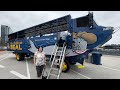 San Diego SEAL Tour Amphibious Boat Adventure With Sea Lions Birds Dolphins