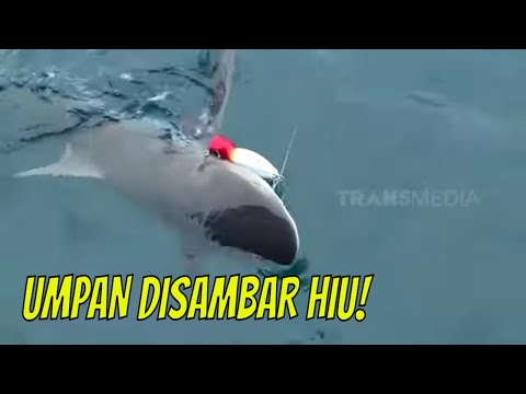 Wow! Umpan Disambar Hiu! | MANCING MANIA STRIKE BACK (08/07/23) Part 2