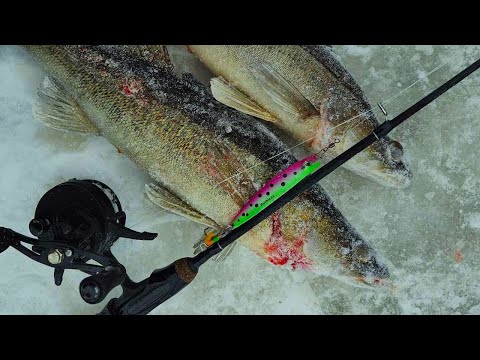 PILKILLÄ | OPETELLAAN KUHAN PILKINTÄÄ!