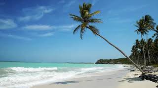 Embrace  - ashes lyrics