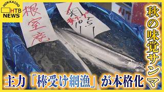 秋の味覚サンマ、主力の「棒受け網漁」が本格化　札幌の競りでは1キロ３万円！