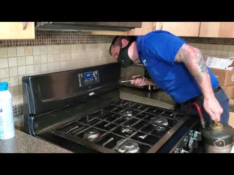 Dishwasher Full of Ants in Toms River, NJ