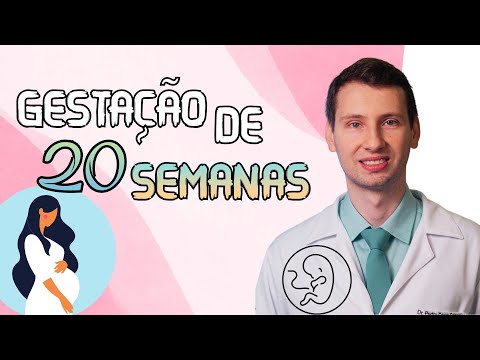 APRENDA: GESTAÇÃO 20 SEMANAS COMO ESTÁ O BEBÊ E A MÃE?