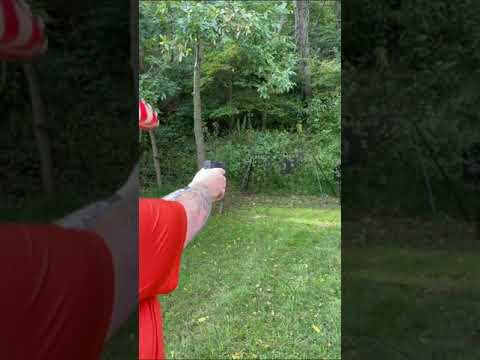 New Taurus GX4 Micro 9 Review