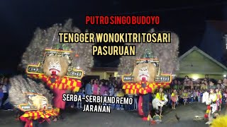 Download lagu opening jaranan campursari putro singo budoyo   dan remo jaranan  live wonokitri tengger bromo mp3