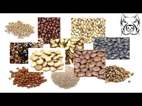 Particle Preparation - How to cook particles for Carp Fishing