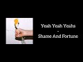 Yeah Yeah Yeahs - Shame And Fortune (Lyrics)