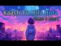 Kaash Tu Mila Hota | Slowed & Reverb version  | Hindi song | #slowedreverb