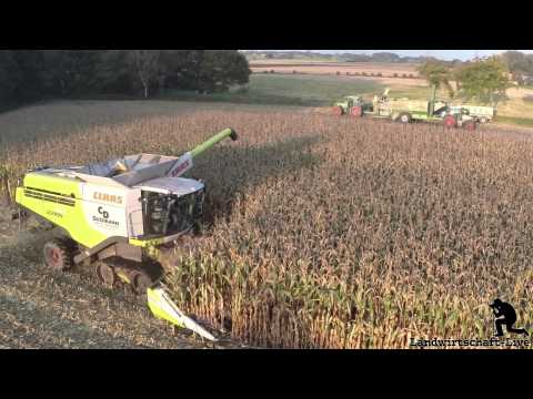 Claas Lexion 760TT Fendt 820+Bergmann ÜLW Maisdreschen für CCM Delsmann