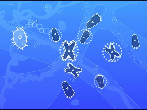 Microbe Kombat youtube-video