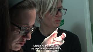 On Cats And Humans | Trailer | BELDOCS 2026