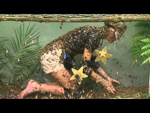 Alex Best Gets Feathered Searching For Stars | I'm A Celebrity... Get Me Out Of Here! Video