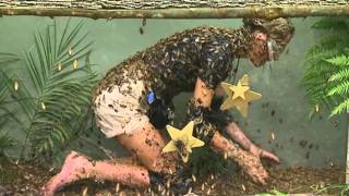 Alex Best Gets Feathered Searching For Stars | I'm A Celebrity... Get Me Out Of Here!