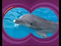 Playhouse Disney 2004 YouTube