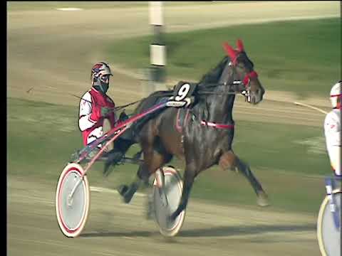 Trotto 17/11/2017 - 6ª corsa