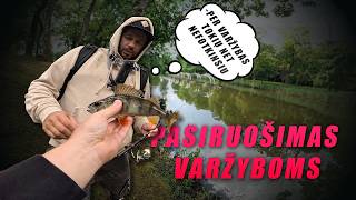 Kaip @svarbeuselankiti ruošiasi mano organizuojamoms varžyboms?