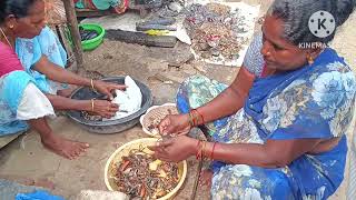 ఏటి పీతలు మరియు చేపలు కటింగ్ చూడండి 🦀🐠