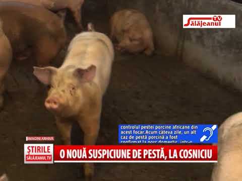 O NOUA SUSPICIUNE DE PESTA LA COSNICIU
