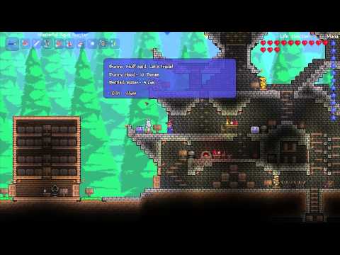 Wizard Academy - Terraria Adventure Map - 17