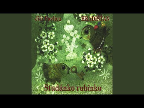 K čemu by byl kosu nos