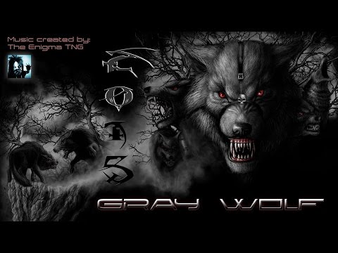 The Enigma TNG - Gray Wolf