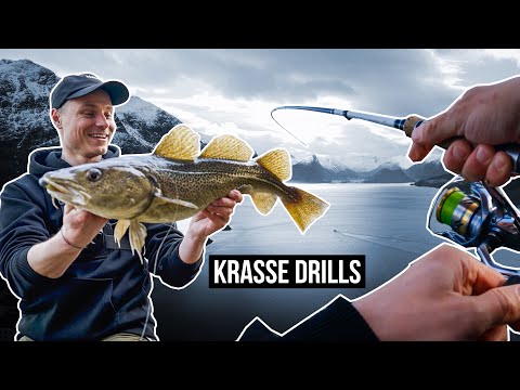 FAT fish from the shore! Finesse fishing in Norway.