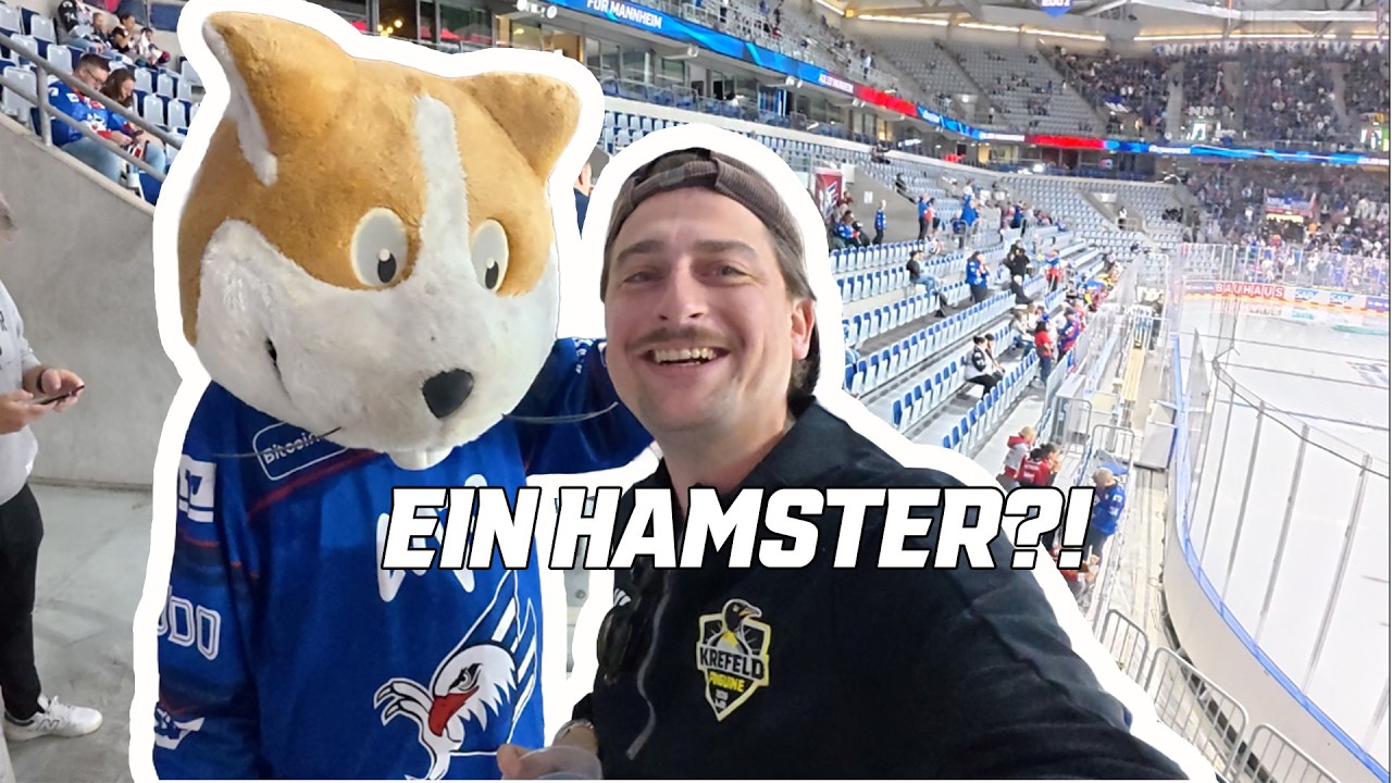 Video: Wir nehmen Mannheim unter die Lupe!