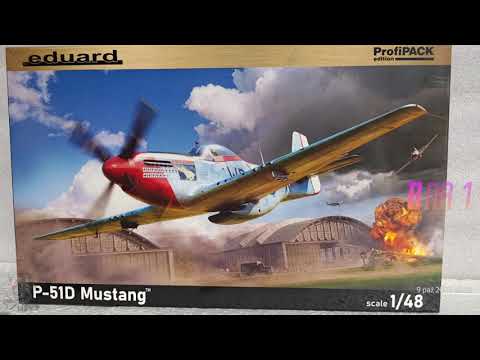Eduard 1/48 P 51 Mustang