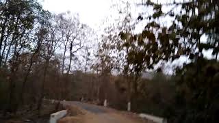 preview picture of video 'Elephant road crossing at tikarpada angul'