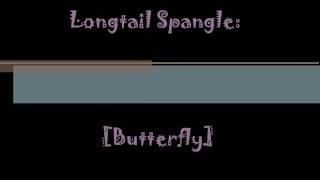[Longtail Spangle: Butterfly]