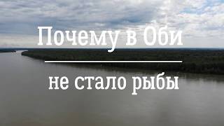 Базы отдыха рыбалка новосибирская область зима