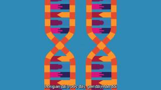 Gen đến từ đâu ?- Carl Zimmer- TED-ed