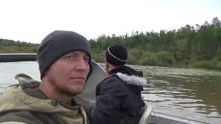 Кетовая рыбалка на амуре 2019