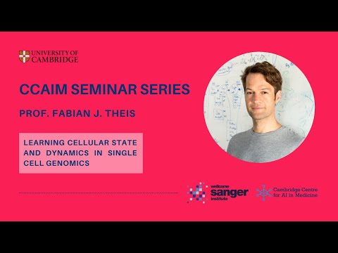 CCAIM Seminar Series – Prof. Fabian J. Theis, Wellcome Sanger Institute