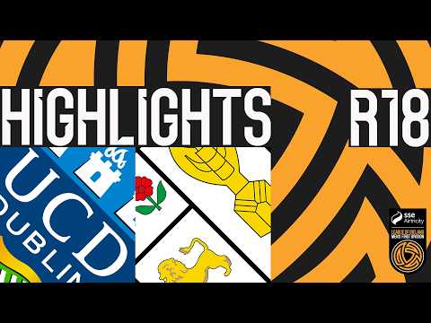bg-highlight