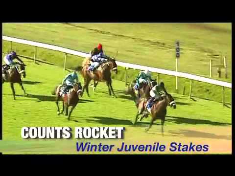 Count Dubois - Breeding To Win 2013 (Tellytrack)