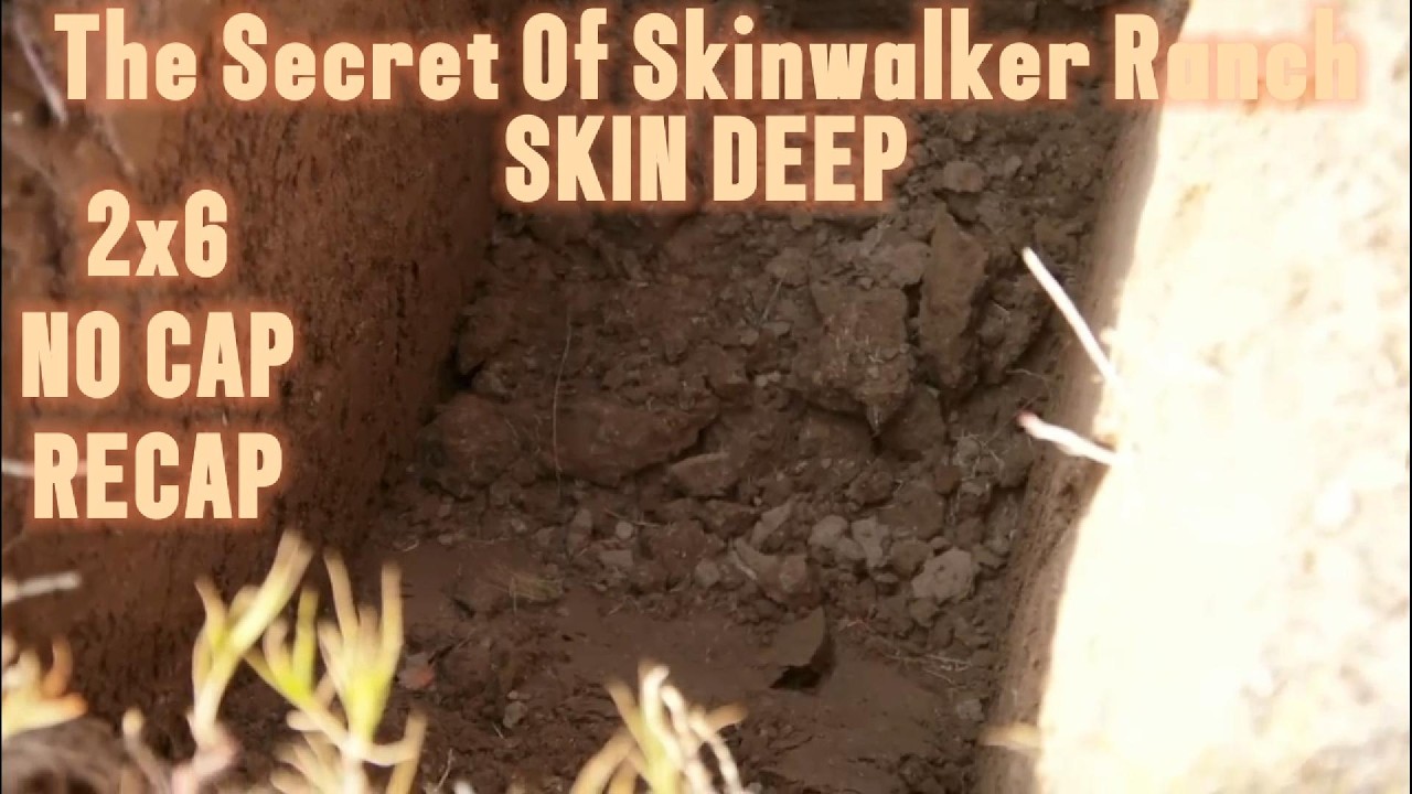 Thumbnail Download HD Thumbnail (1280x720)